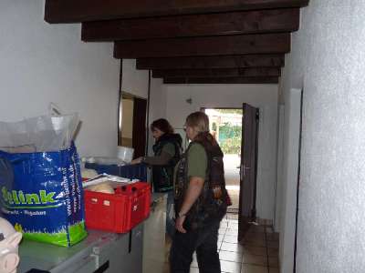 isp (1)