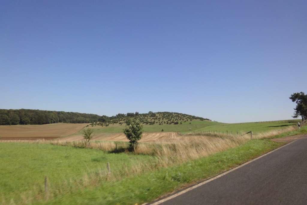 DSC09124