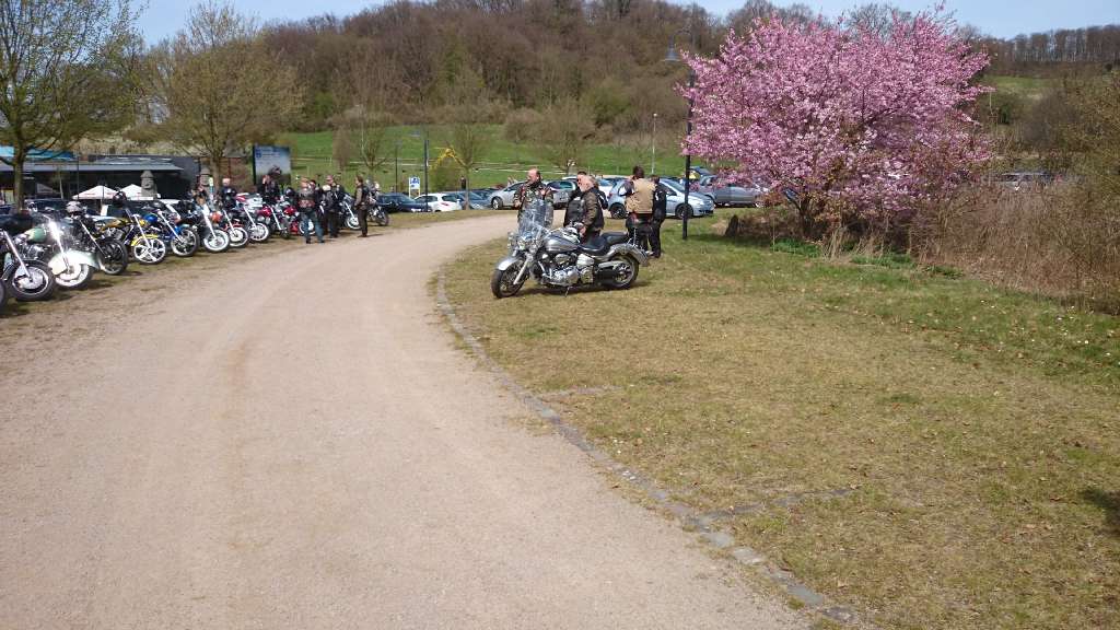 loreley (77)