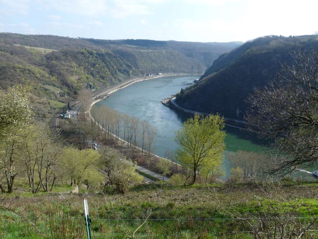 loreley (63)