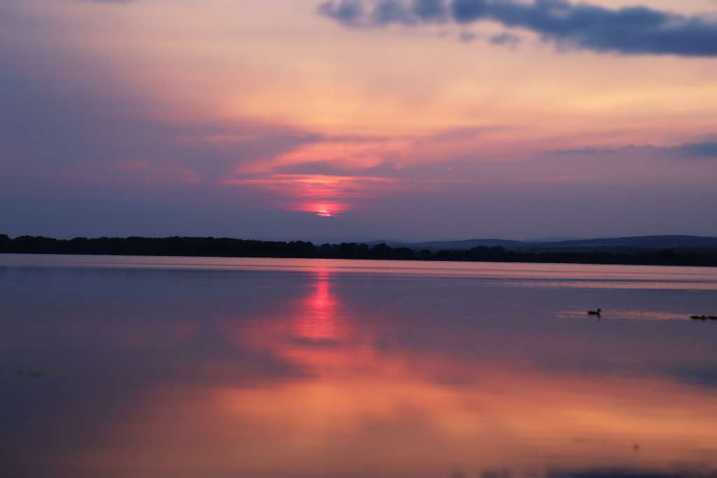 IMG_0688