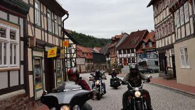 IMG_0769 (2)