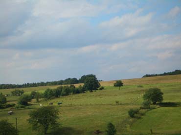 173 (16)