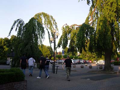 195 (9)