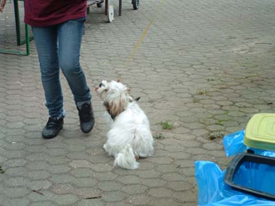 isp2009 (44)