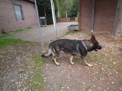 2011-09-16_16-17-46