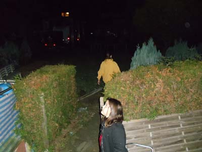 31.10.2010 (2)