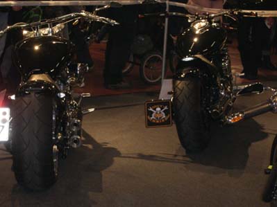 cub (6)